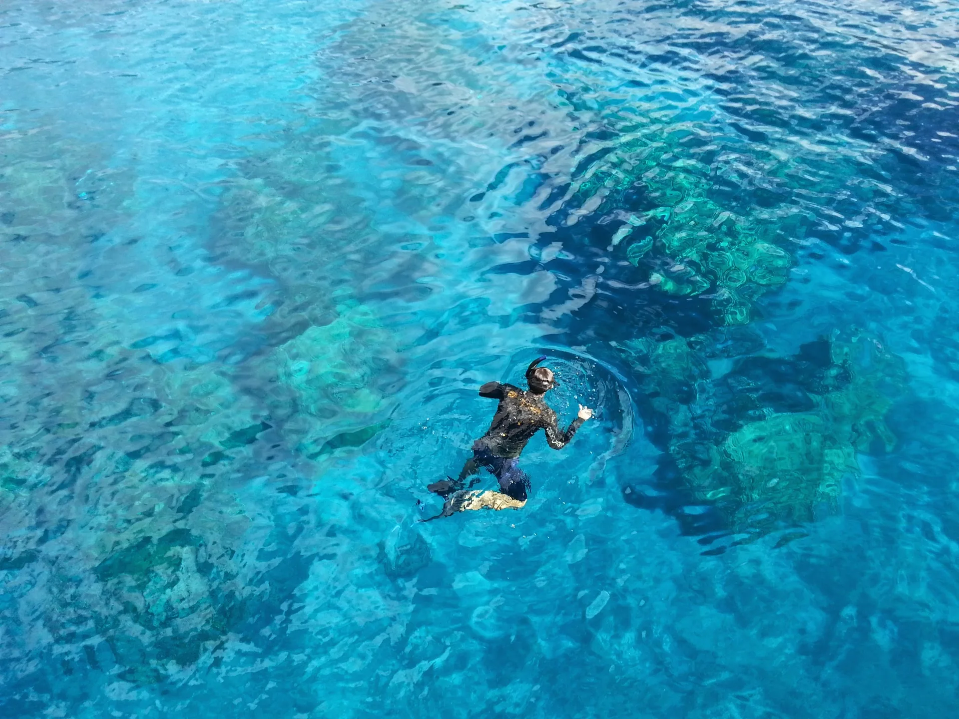 Snorkelen in Egypte: koraal voor je hotelstrand