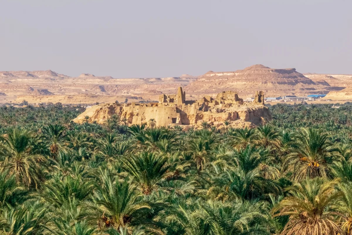 Siwa-oase vanuit Marsa Matrouh