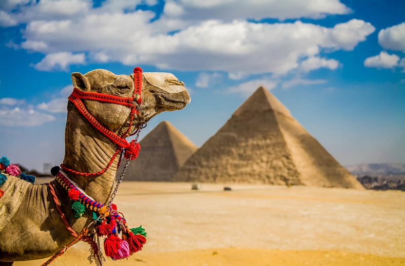 8-daagse rondreis Het Noorden van Egypte — aanzicht 1