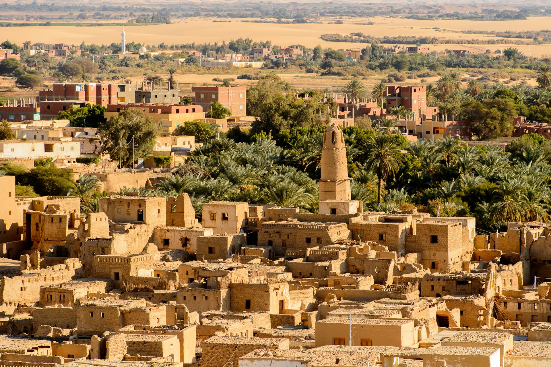 Egypte blijft verrassen: twee bijzondere archeologische ontdekkingen in één week