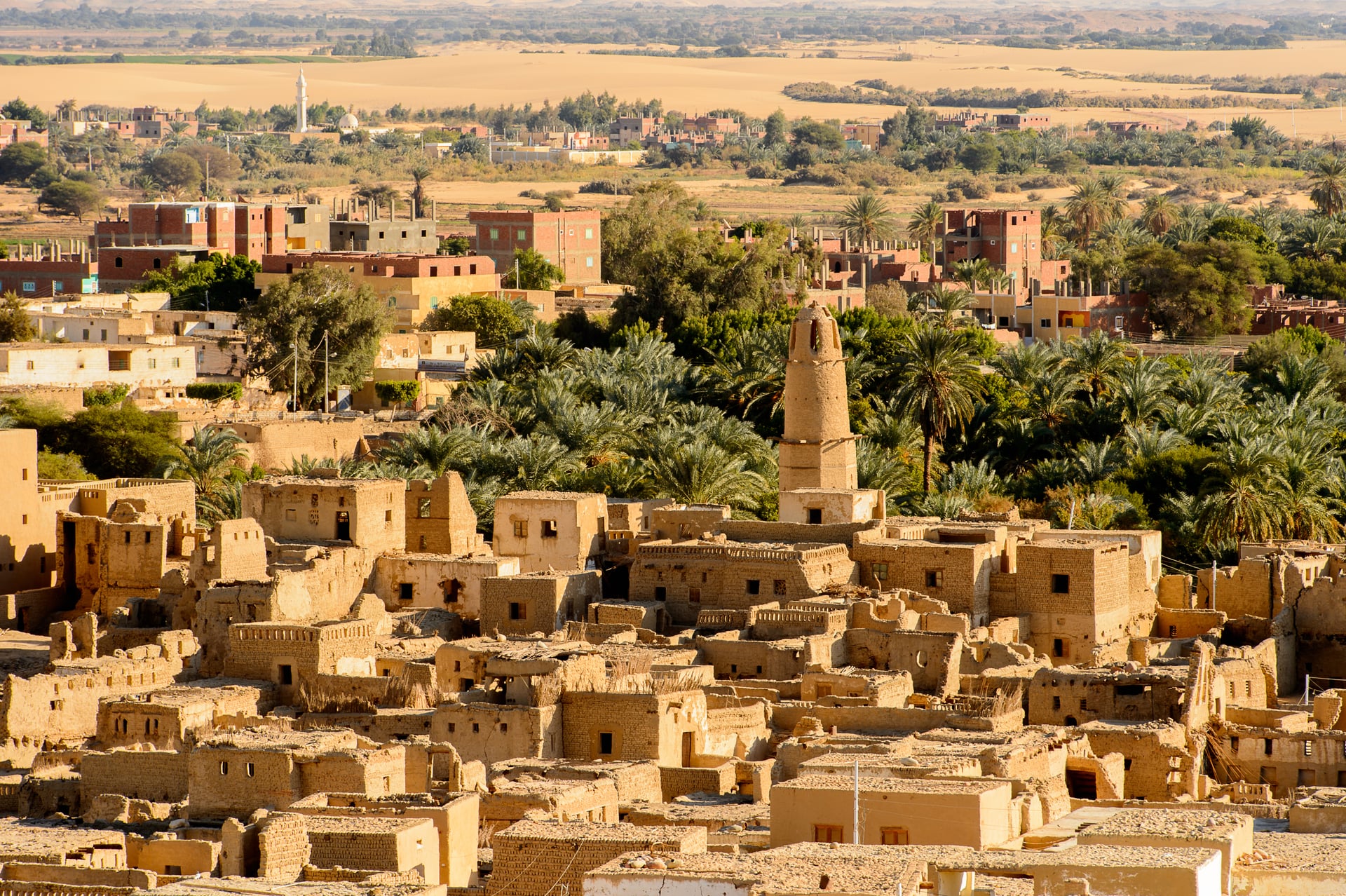Egypte blijft verrassen: twee bijzondere archeologische ontdekkingen in één week