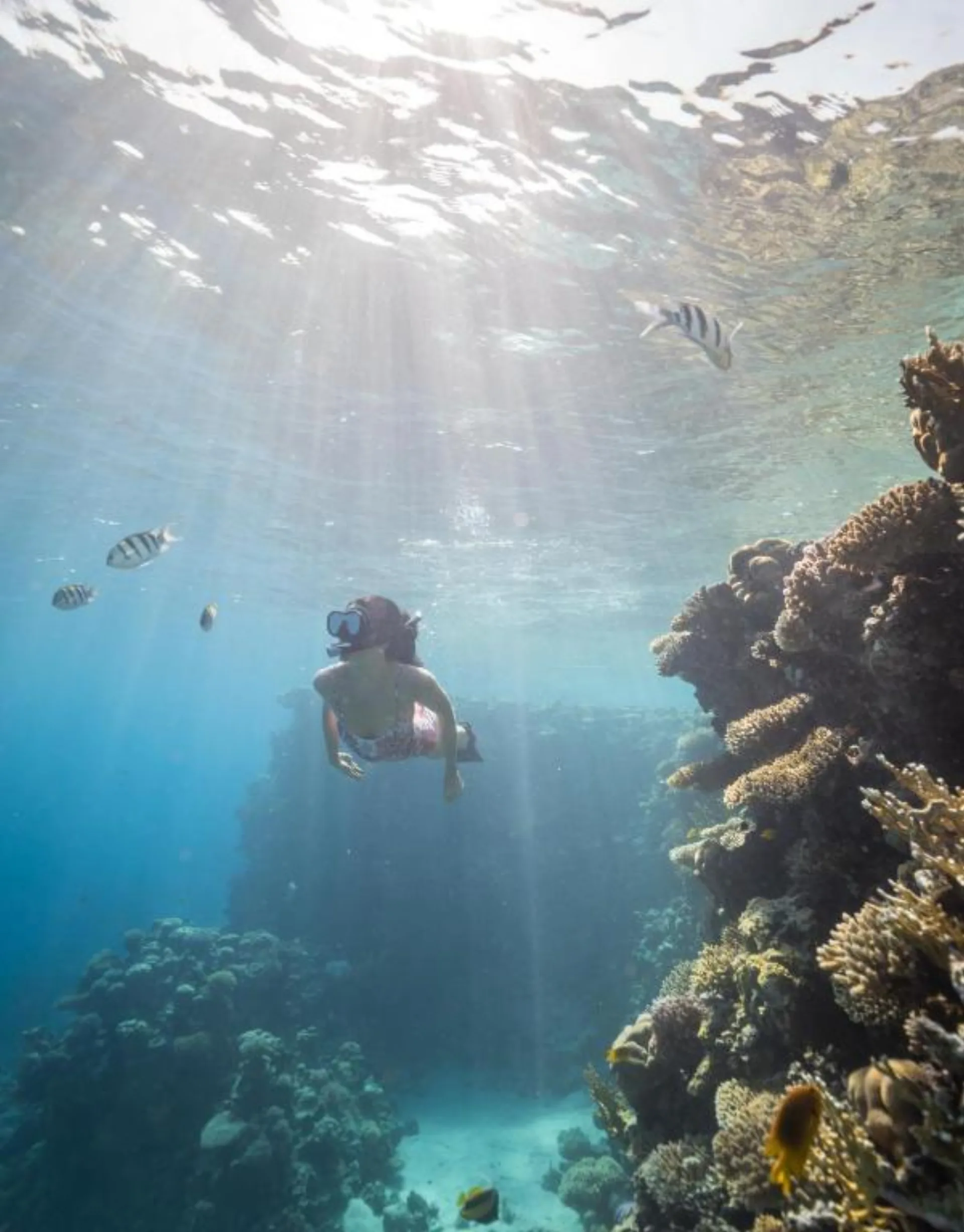 Four Seasons Resort Sharm el-Sheikh huisrif